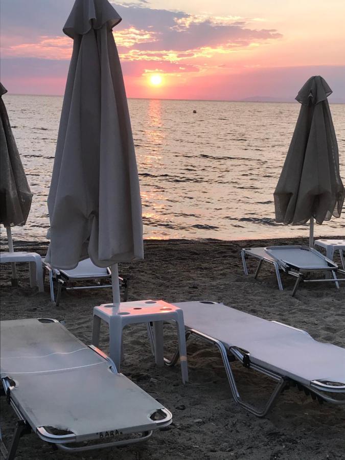 Bara Otel